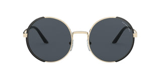 
  
    OPHTHAL GOLD MATTE BLACK | POLAR GREY
  
