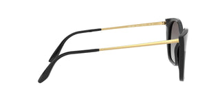 
  
    BLACK | GREY GRADIENT
  
