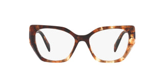 
  
    CARAMEL TORTOISE | TRANSLUCENT LENS
  

