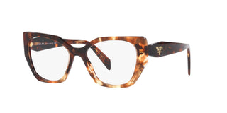 
  
    CARAMEL TORTOISE | TRANSLUCENT LENS
  
