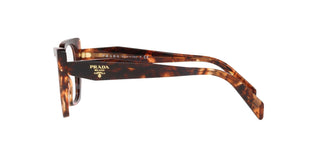
  
    CARAMEL TORTOISE | TRANSLUCENT LENS
  
