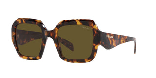 
  
    HONEY TORTOISE | DARK BRONZE
  
