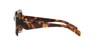 
  
    HONEY TORTOISE | DARK BRONZE
  
