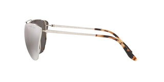 
  
    SILVER | BRONZE MIRROR SILVER POLAR
  
