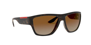 
  
    MATTE HAVANA | POLAR BRONZE GRADIENT
  
