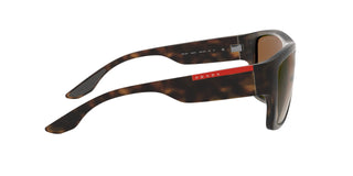 
  
    MATTE HAVANA | POLAR BRONZE GRADIENT
  
