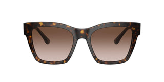
  
    DG4384 DOLCE & GABBANA SUNGLASSES
  
