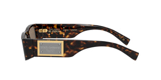 
  
    HAVANA | DARK BRONZE
  
