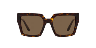 
  
    DG4446B DOLCE & GABBANA SUNGLASSES
  
