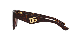 
  
    HAVANA | GRADIENT BROWN
  
