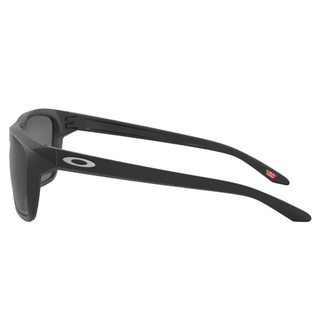 
  
    MATTE BLACK | PRIZM BLACK POLAR
  
