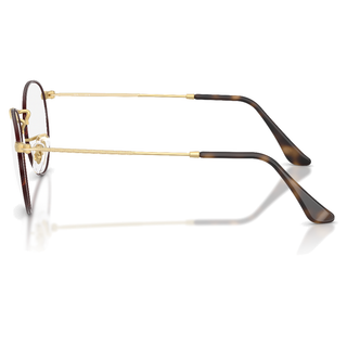 
  
    MATTE HAVANA ON MATTE ARISTA | DEMO LENS
  
