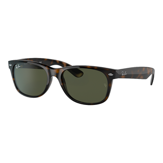 
  
    TORTOISE POLISHED | GREEN
  
