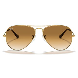 
  
    ARISTA | CLEAR GRADIENT BROWN
  
