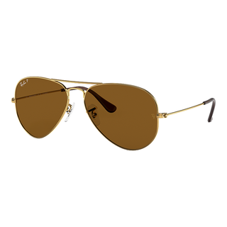
  
    ARISTA | BROWN POLARIZED
  
