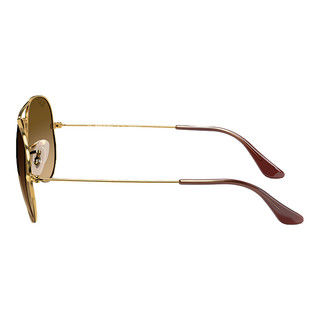 
  
    ARISTA | BROWN GRADIENT
  
