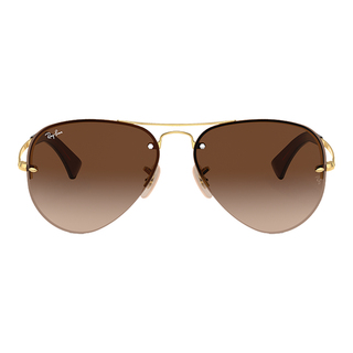 
  
    ARISTA | BROWN GRADIENT DARK BROWN
  

