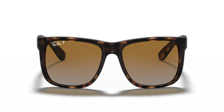 
  
    RUBBER HAVANA | GREY GRADIENT BRONZE
  
