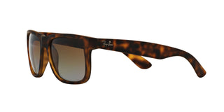 
  
    RUBBER HAVANA | GREY GRADIENT BRONZE
  
