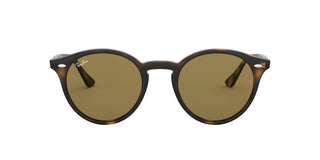 
  
    Light Havana | Dark Brown
  
