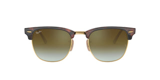 
  
    RED HAVANA | GREEN FLASH GRADIENT
  
