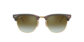 
  
    RED HAVANA | GREEN FLASH GRADIENT
  
