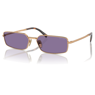 
  
    BRASS | VIOLET
  
