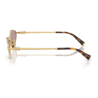 
  
    GOLD | LIGHT PURPLE BROWN
  
