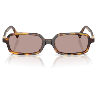 
  
    HAVANA HONEY | LIGHT PURPLE BROWN
  
