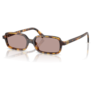 
  
    HAVANA HONEY | LIGHT PURPLE BROWN
  
