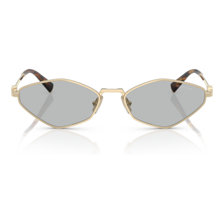 
  
    PALE GOLD | LIGHT GREY
  
