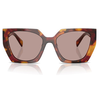 
  
    POPPY TORTOISE | LIGHT PURPLE BROWN
  
