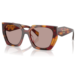 
  
    POPPY TORTOISE | LIGHT PURPLE BROWN
  
