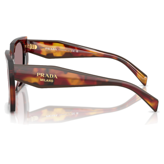 
  
    POPPY TORTOISE | LIGHT PURPLE BROWN
  
