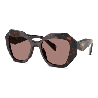 
  
    ROOT TORTOISE | LIGHT BROWN
  

