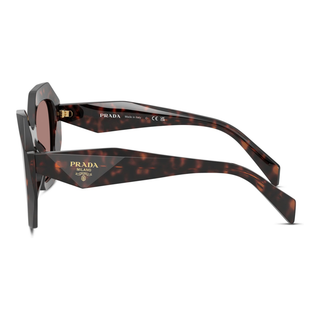 
  
    ROOT TORTOISE | LIGHT BROWN
  
