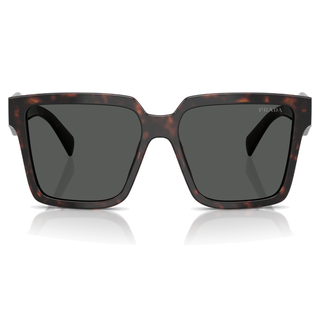 
  
    ROOT TORTOISE | DARK GREY
  
