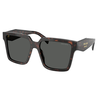
  
    ROOT TORTOISE | DARK GREY
  
