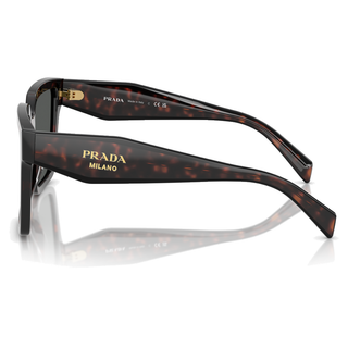 
  
    ROOT TORTOISE | DARK GREY
  
