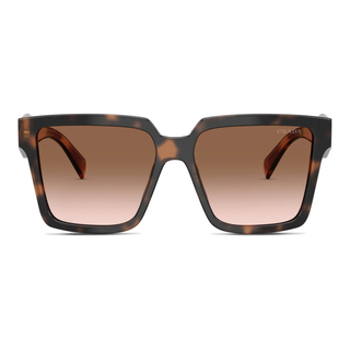 
  
    MAUVE TORTOISE | BROWN GRADIENT
  
