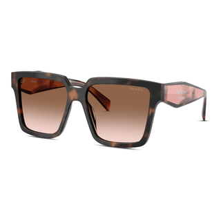 
  
    MAUVE TORTOISE | BROWN GRADIENT
  
