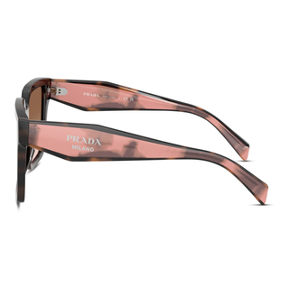 
  
    MAUVE TORTOISE | BROWN GRADIENT
  
