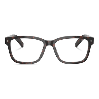 
  
    ROOT HAVANA | DEMO LENS
  
