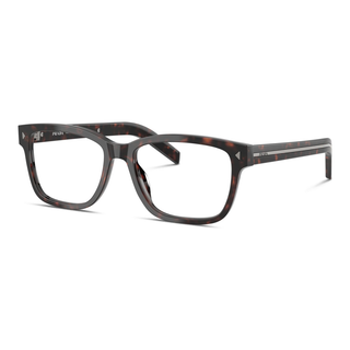 
  
    ROOT HAVANA | DEMO LENS
  
