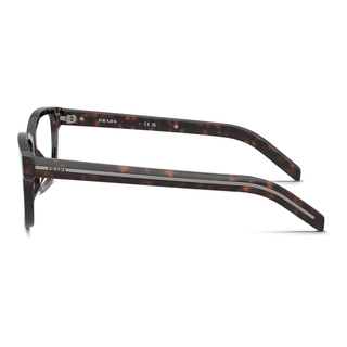 
  
    ROOT HAVANA | DEMO LENS
  
