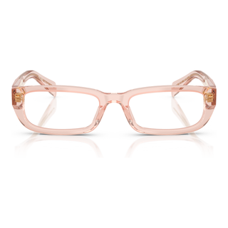 
  
    TRANSPARENT PEACH | DEMO LENS
  
