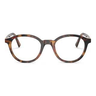 
  
    HAVANA IVY | DEMO LENS
  
