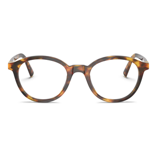 
  
    HONEY HAVANA | DEMO LENS
  
