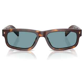 
  
    CLASSIC TORTOISE | GREEN POLAR
  
