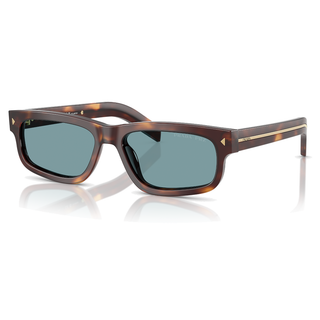 
  
    CLASSIC TORTOISE | GREEN POLAR
  
